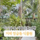 거제남서로 | 거제 정글돔. 아기와 함께하는 가족 여행 필수 코스! 포토존 가득한 리얼 후기