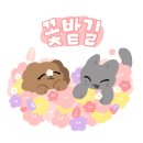 신촌 룸익스케이프 인디고블루점 [홀리 몰리, 몰 몰 몰!] 방탈출 후기