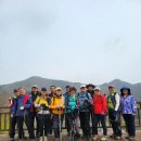 금수산 산행 후기 2023. 4. 16.(일)