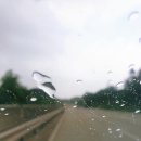 수동 본 쉐르빌 | [파3 골프장] 경주 화산 쉐르빌 1인 플레이도 가능