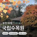 포천시 환경자원센터 | [경기도 포천]서울 근교 나들이🍁 포천 국립수목원 단풍 실시간 &amp; 솔직 방문기(feat. 사전 주차 예약...