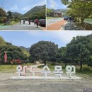 완도 청산도 남도여행 첫째날 완도수목원 청산도 서편제촬영지