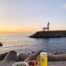해비치 골프 민박 | 제주도대형택시관광 가격 요금이 맘에들었고 제주점보택시관광 다니니 운전의 부담이 덜해서 좋네요,