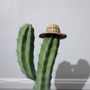 신목농장 이미지