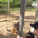 월미농장 이미지