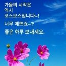 파워큐셀