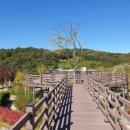 안경산책 이미지