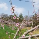 성원농장 이미지