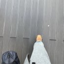 마동-16 | 경주 여자 혼자여행 당일치기 코스, 맛집, 경비 총 정리