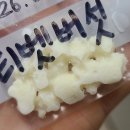 기포농장 | 요즘의 티벳버섯_겨울에서 봄으로 (ft. 수입 멸균 우유 후기)