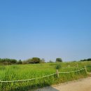 리싸이클링과 선유도, 하늘공원, 광명동굴, 조양방직