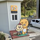 라이언당구장 이미지