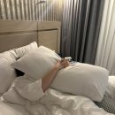 염치약국 | 호주 신혼여행 3탄