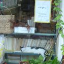 코코와 나비 이미지