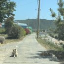 더 따숲 이미지