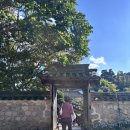 예산추사의거리 | 충남 당진 예산 당일치기여행 가볼만한곳 추사김정희선생 고택