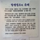 할팽정조