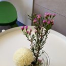 블루샥거제장평점 이미지