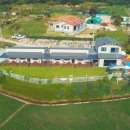 슈가몽 애견펜션 이미지