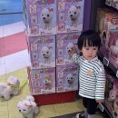 몽이1푸드 이미지
