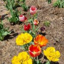 지리산생태체험단지 이미지