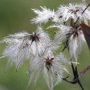 한마음 요양원 | 한마음요양원 프로그램소개