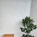 올로르키친 이미지