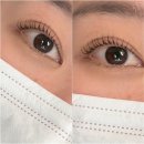 광주 속눈썹펌,연장 잘하는곳 “첨단 멉지뷰티”