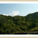 묘산면사무소 이미지