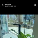 쿵쿵소 캠핑장