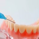 스마일라인치과교정과치과의원 이미지