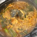 속초 대포항 현지인 추천 맛집 '명가횟집' 모둠회 애견동반 내돈내산 후기