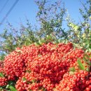 대봉엘에프영어조합법인 | 제주올레길 4코스 3 (갯늪 - 너므름까지)