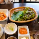 산애들애 이미지