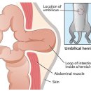 아침동물병원 이미지