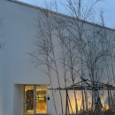 빈터 | 아이랑 가기 좋은 양양 숲속의 빈터 베이커리 카페 방문후기