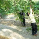 용천마을 이미지