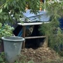 안면점 현대자동차 | [현대자동차그룹 2025 해피무브] 싱가포르 국내활동 후기