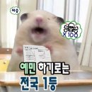 입시 기록