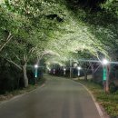 선진조명
