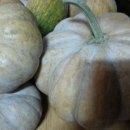 지암농장 이미지