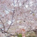 까까마망 이미지