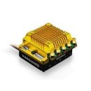 스콜피언 이미지