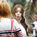 비디오랜드 이미지