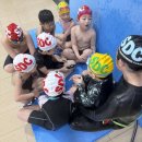 산들수영장 안성점 | 산들수영장 안성점