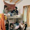 롤링버니즈 이미지