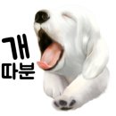 앙또르과자점 이미지