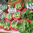 시내약국 이미지