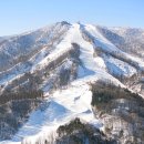 휘닉스 스노우파크 이미지