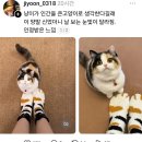 기철한우 | 12월!을 이자~~뿌쓰요!